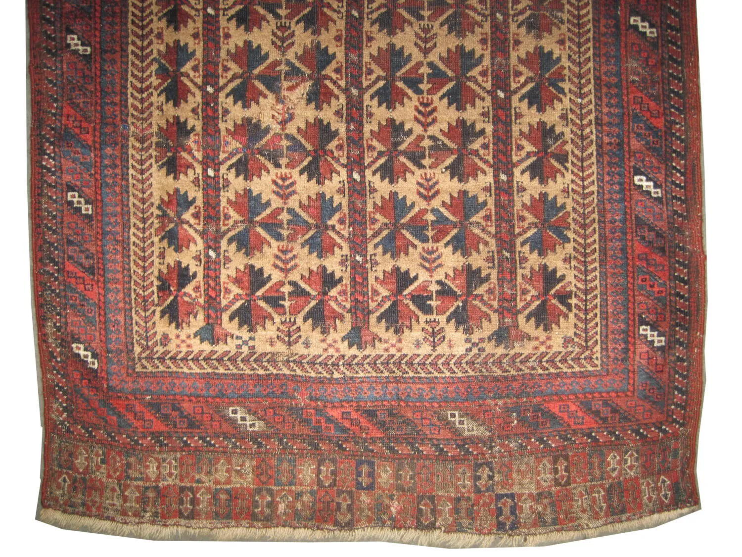 Belutsch Persian - Image 4