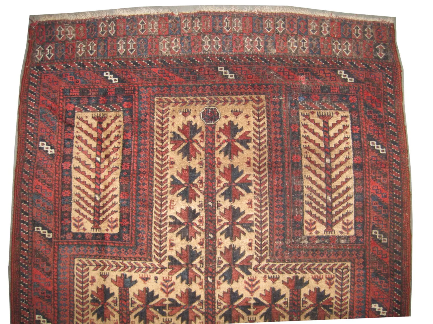 Belutsch Persian - Image 3