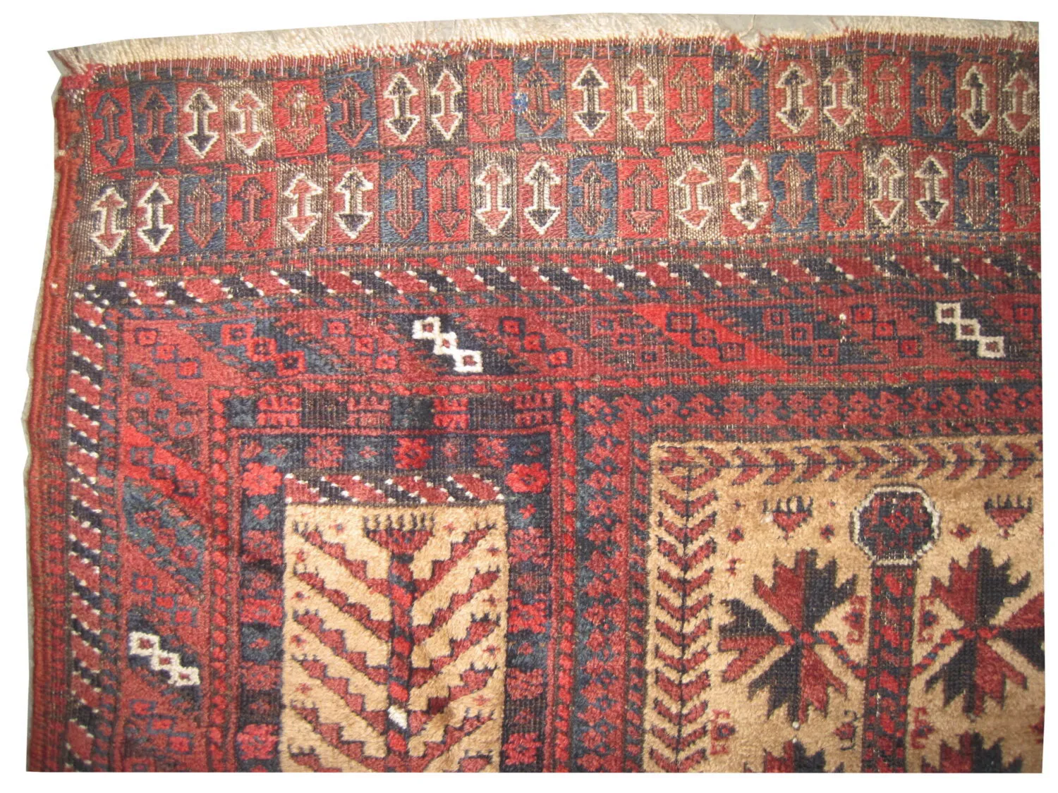 Belutsch Persian - Image 2
