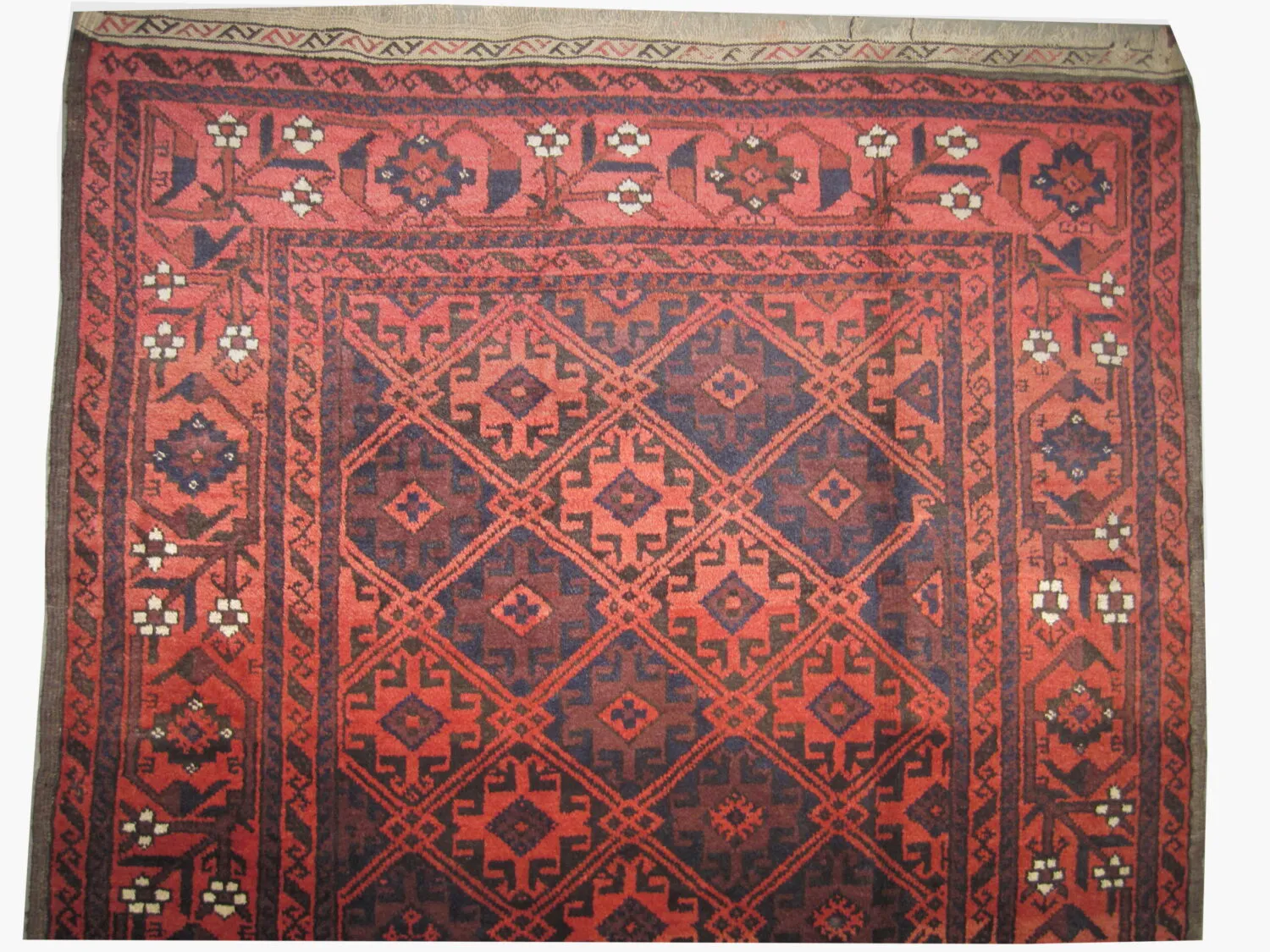 Belutsch Persian - Image 3