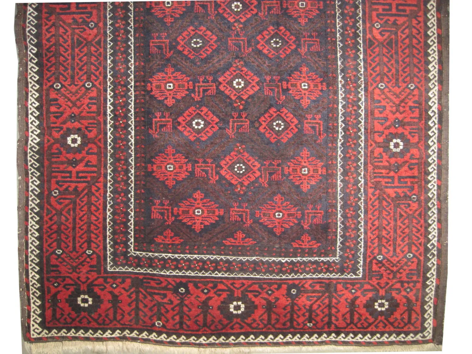 Belutsch Persian - Image 3