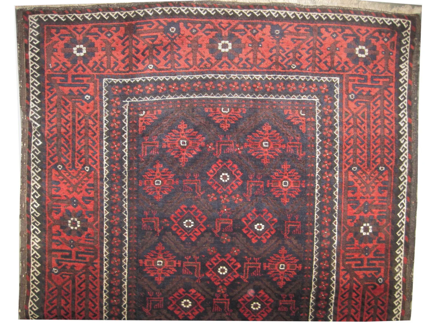 Belutsch Persian - Image 2