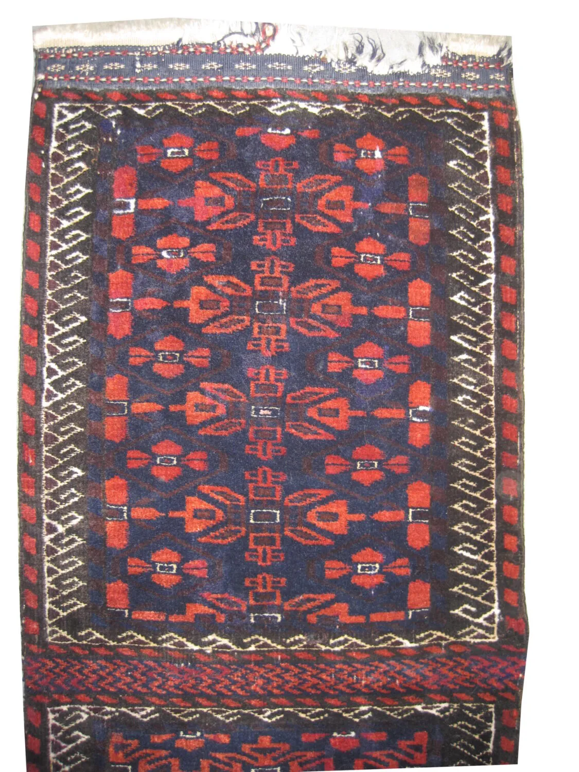 Belutsch Persian - Image 2