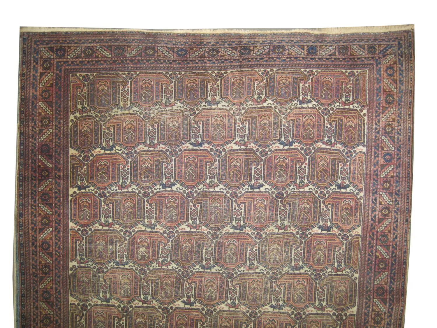 Afshar Persian - Image 2