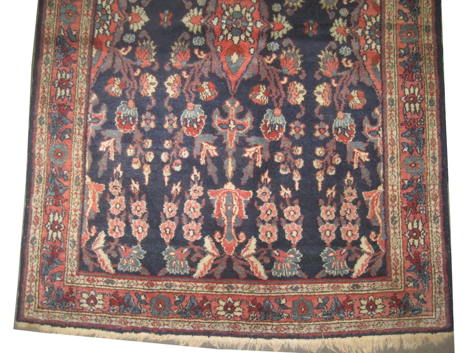 Lilihan Persian - Image 3