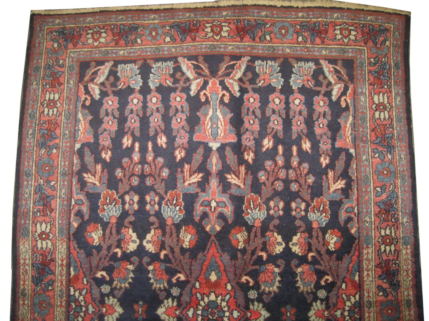 Lilihan Persian - Image 2