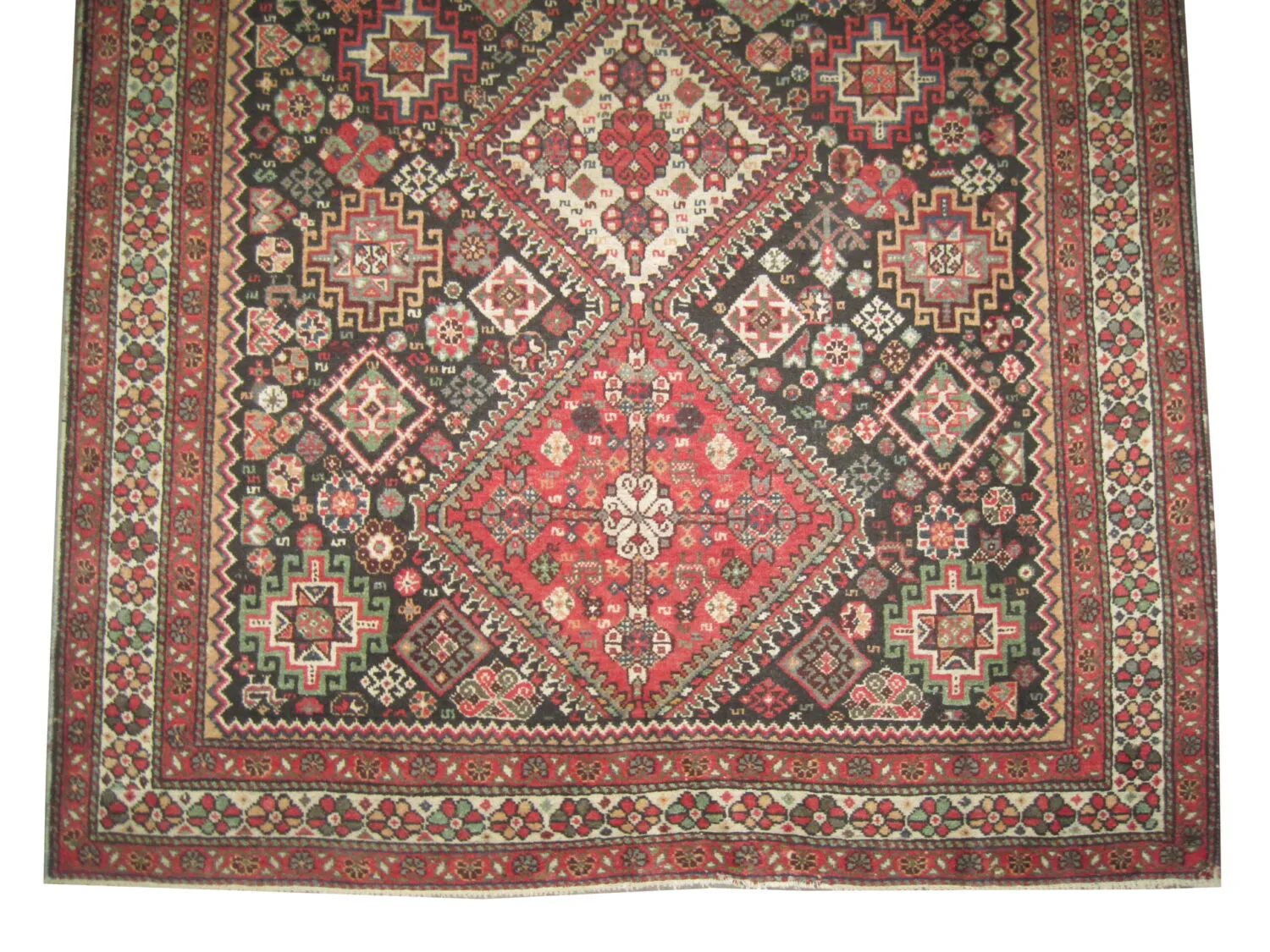 Neriz Persian - Image 3