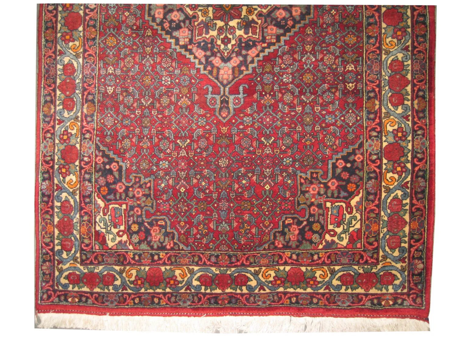 Bidjar Persian - Image 2