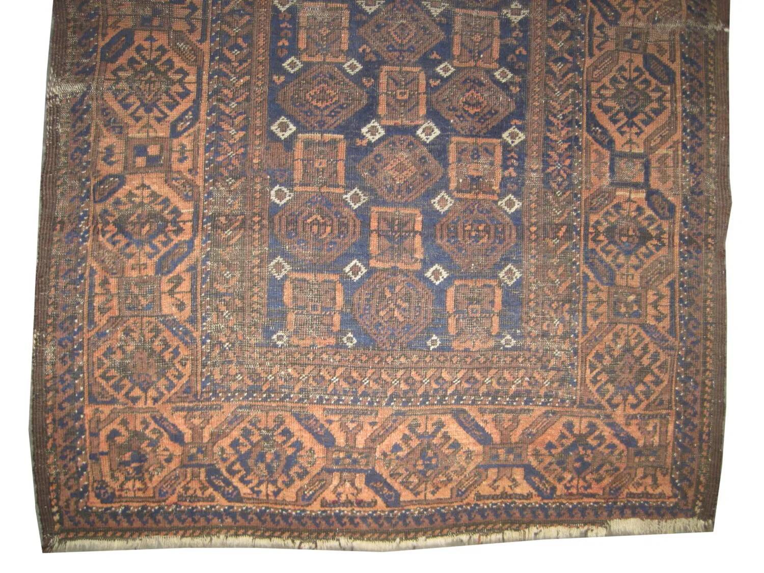 Belutsch Persian - Image 2