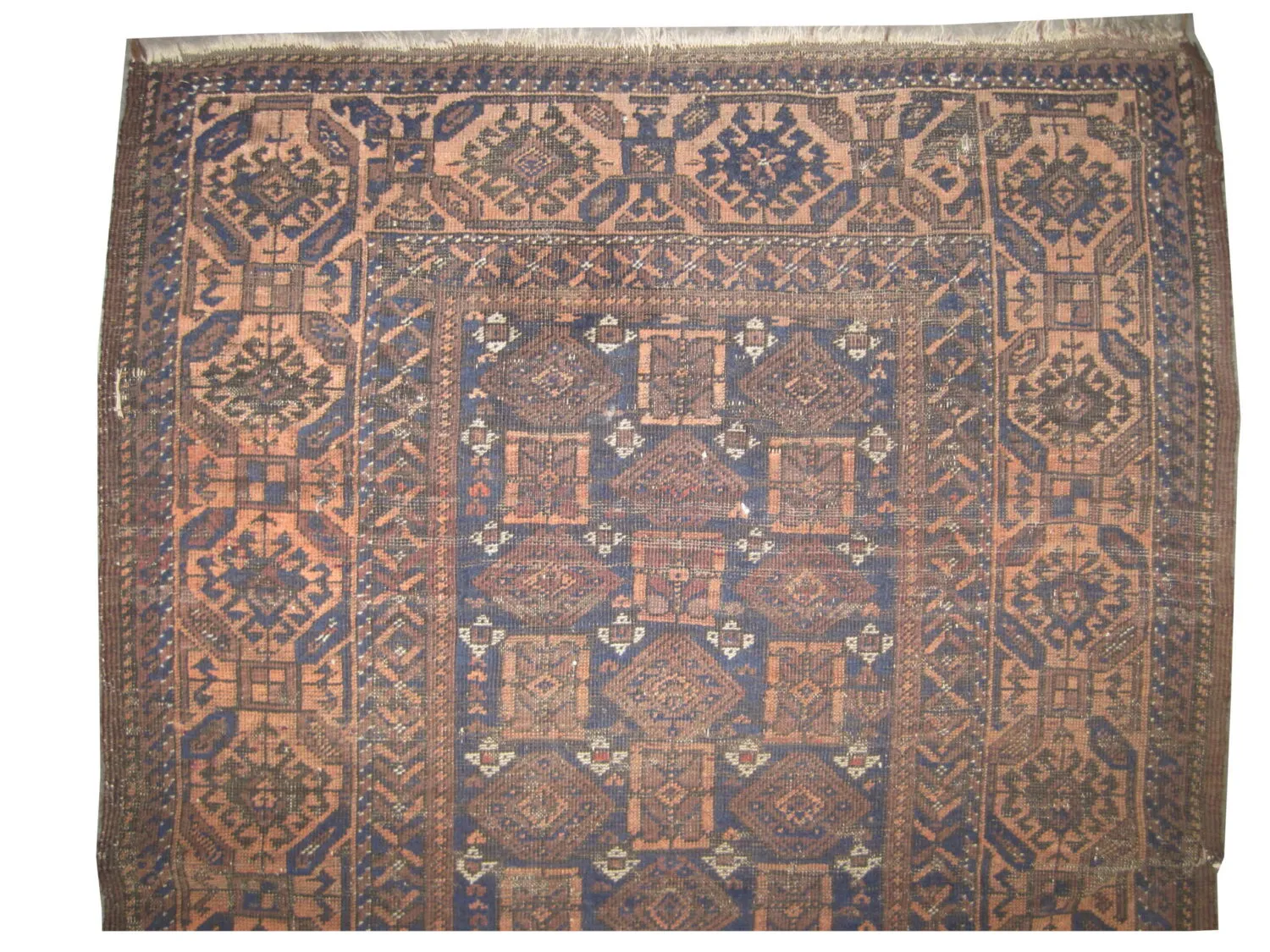 Belutsch Persian - Image 3