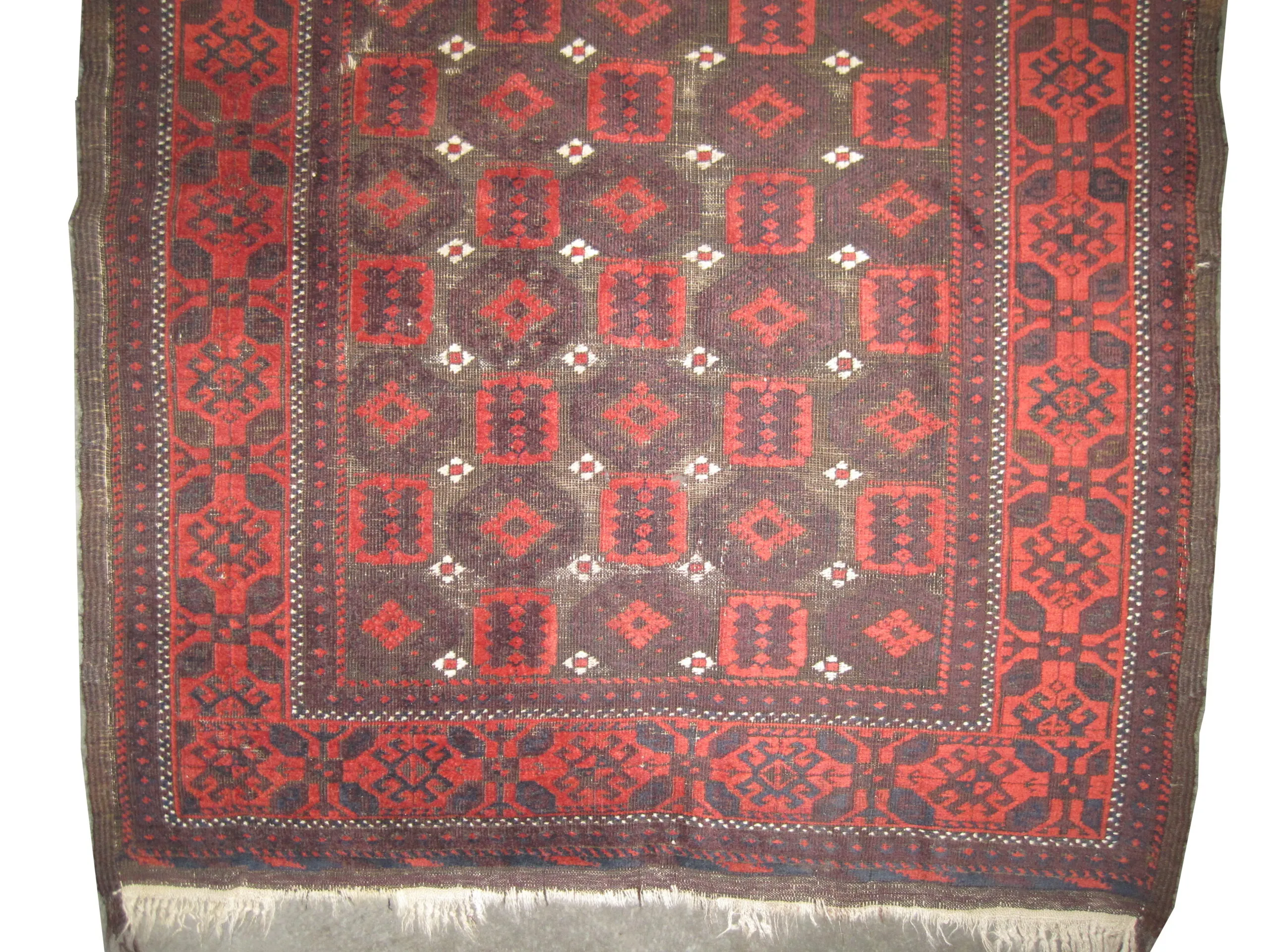 Belutsch Persian - Image 2