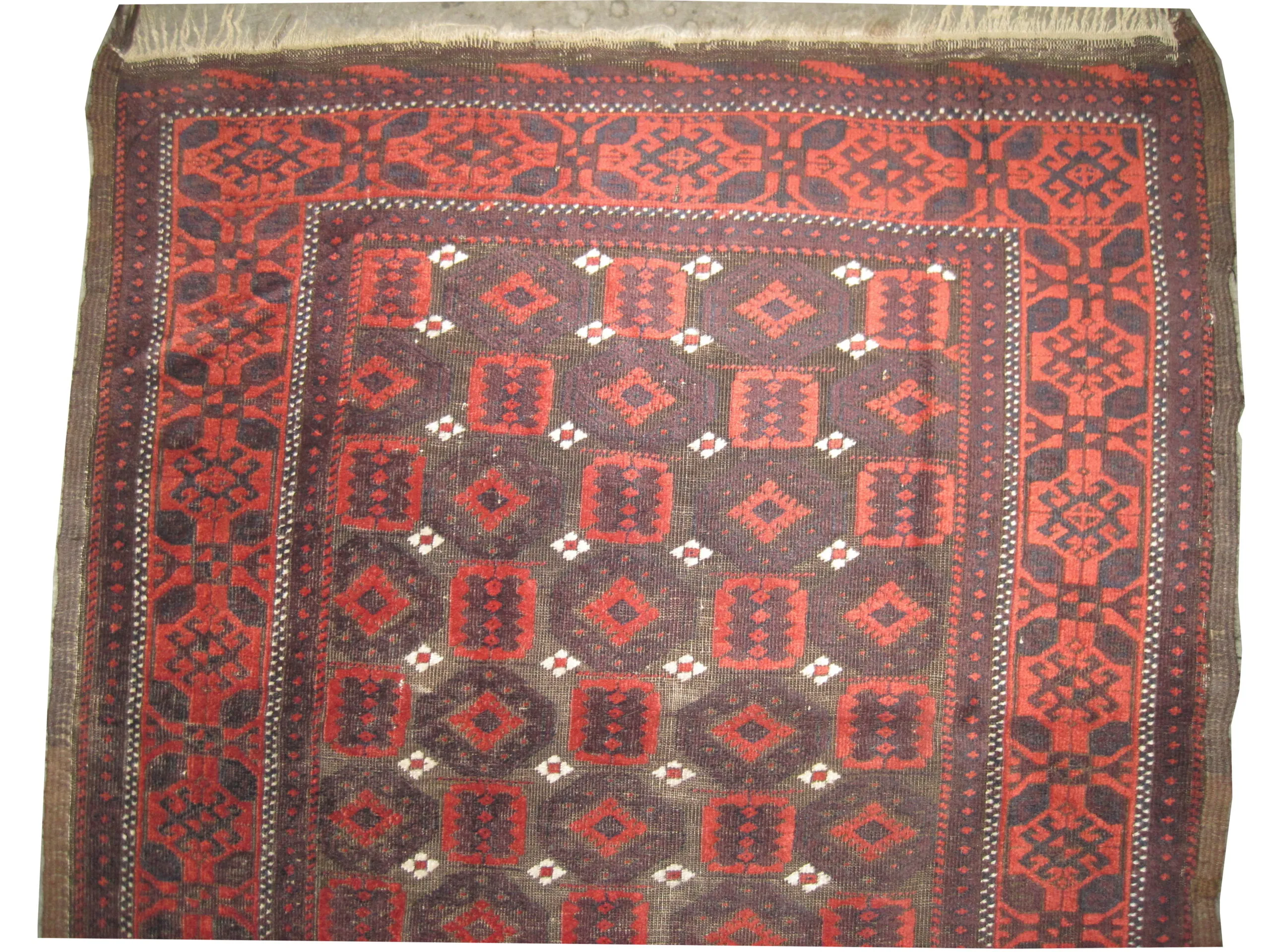 Belutsch Persian - Image 3