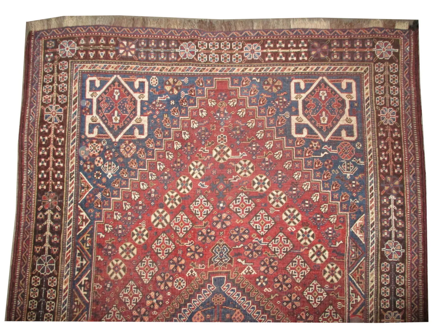 Qashqai Persian - Image 3