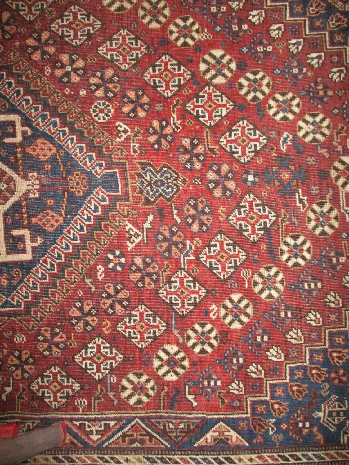 Qashqai Persian - Image 4