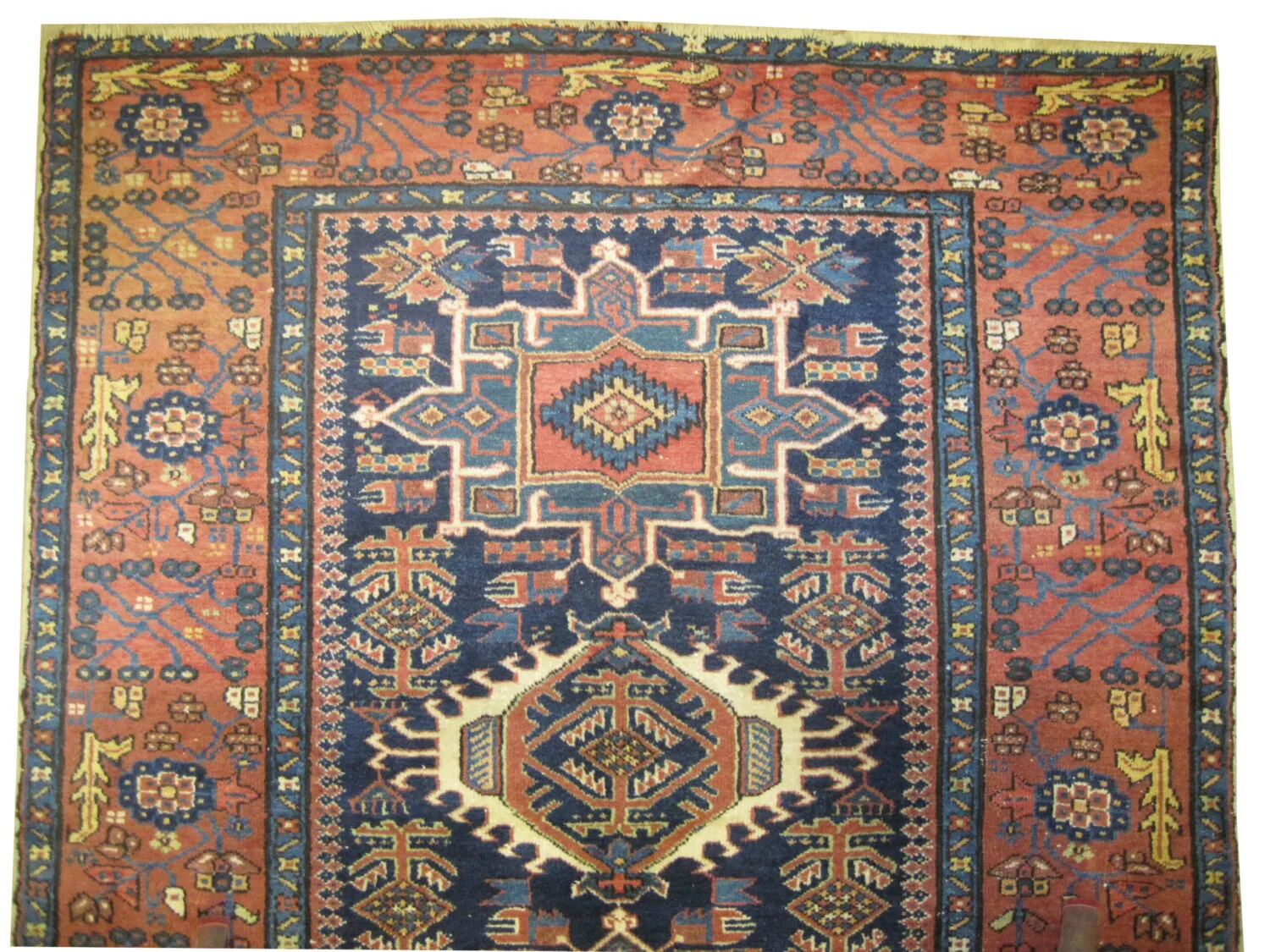 Karadja Persian - Image 2