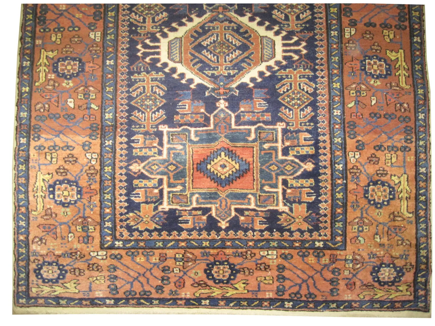 Karadja Persian - Image 3
