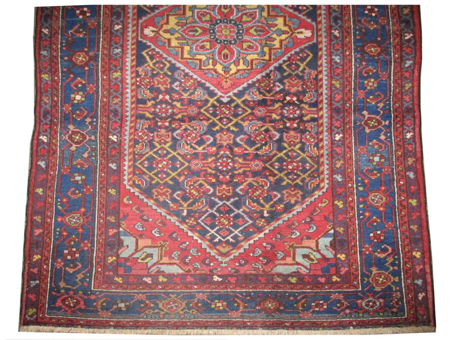 Enjilaz Persian - Image 2