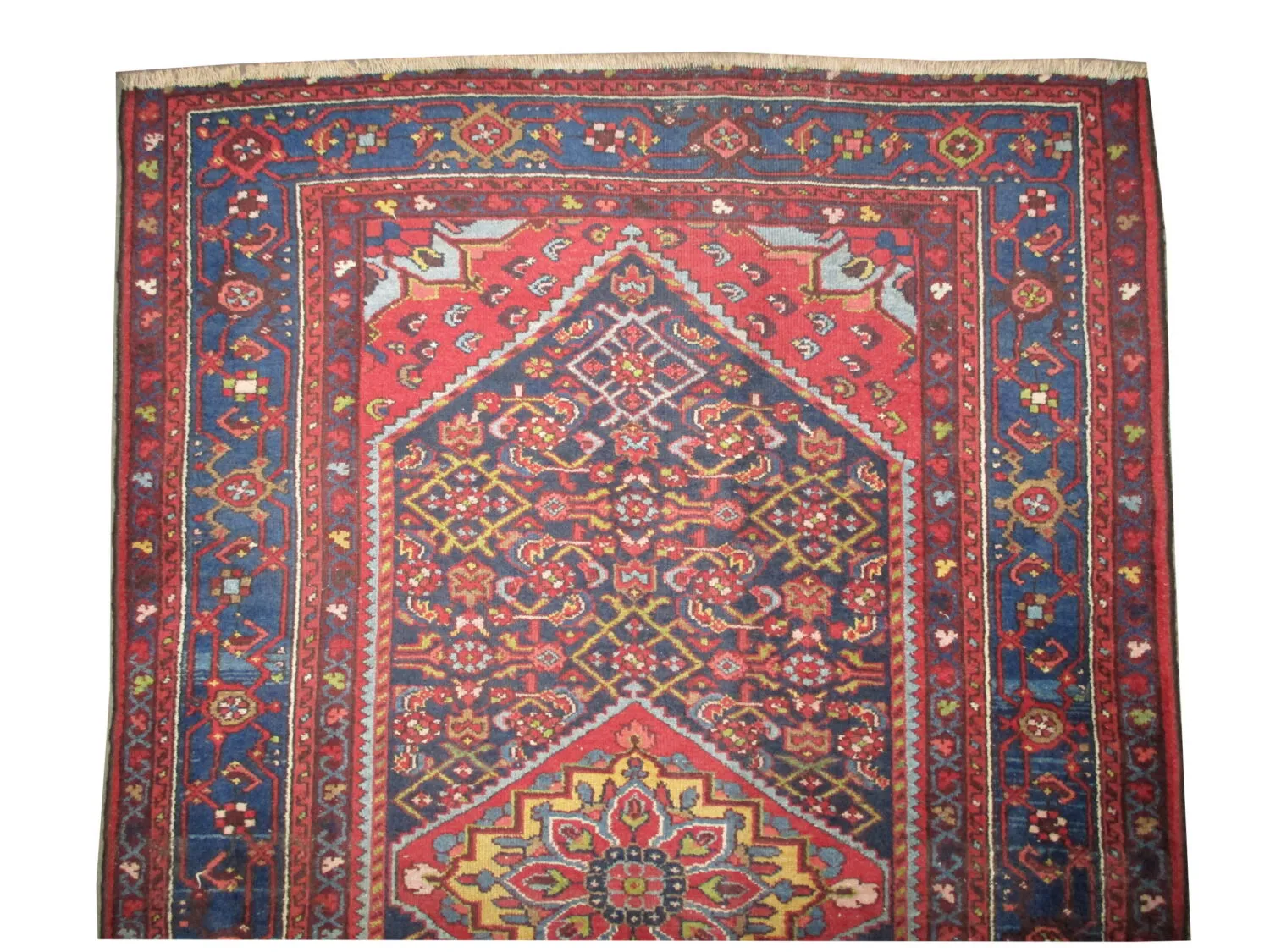Enjilaz Persian - Image 3