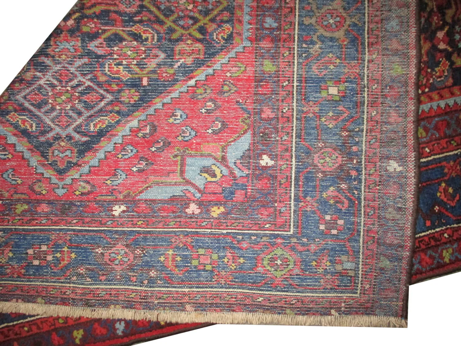 Enjilaz Persian - Image 4