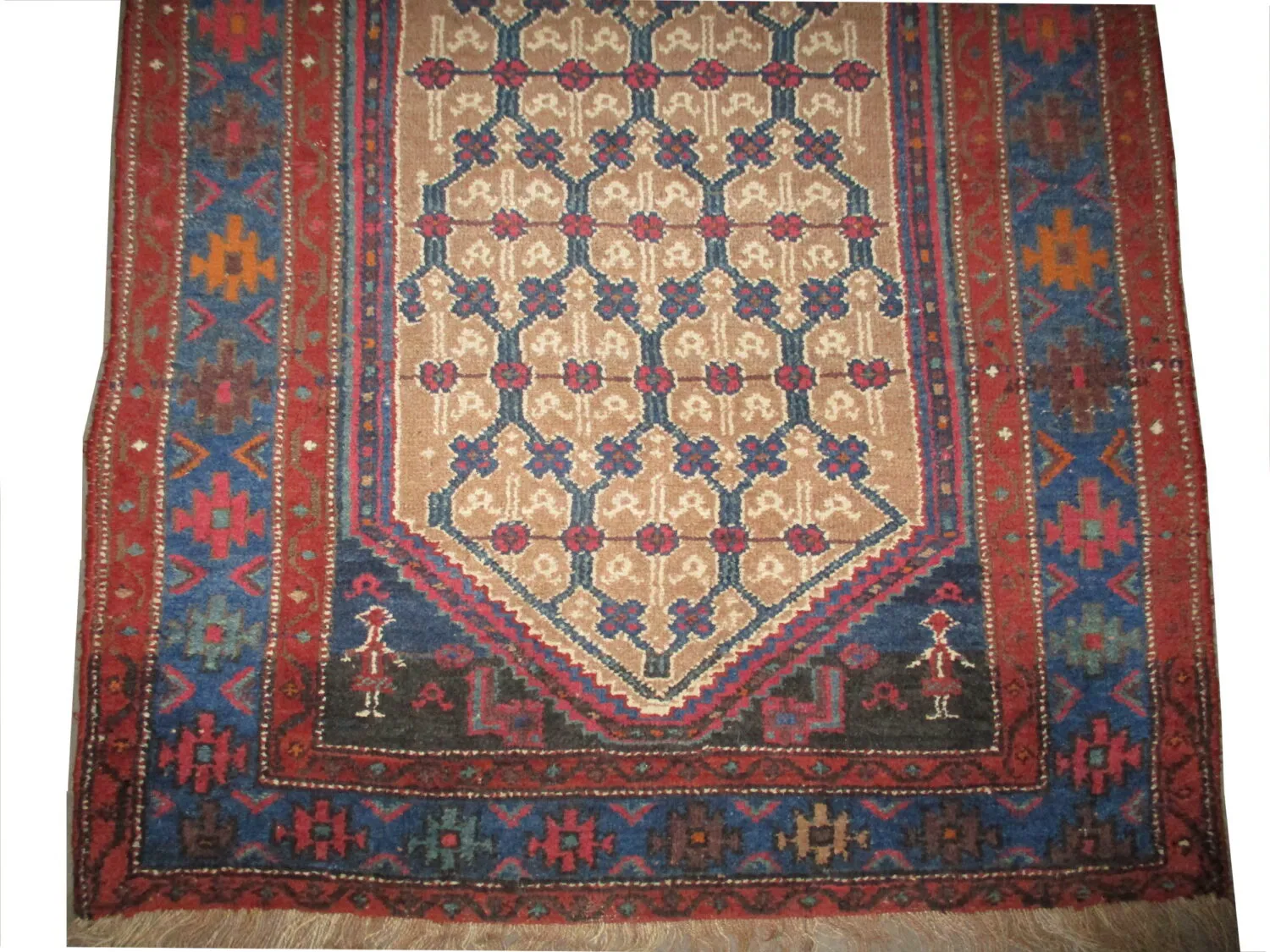 Louri Persian - Image 2