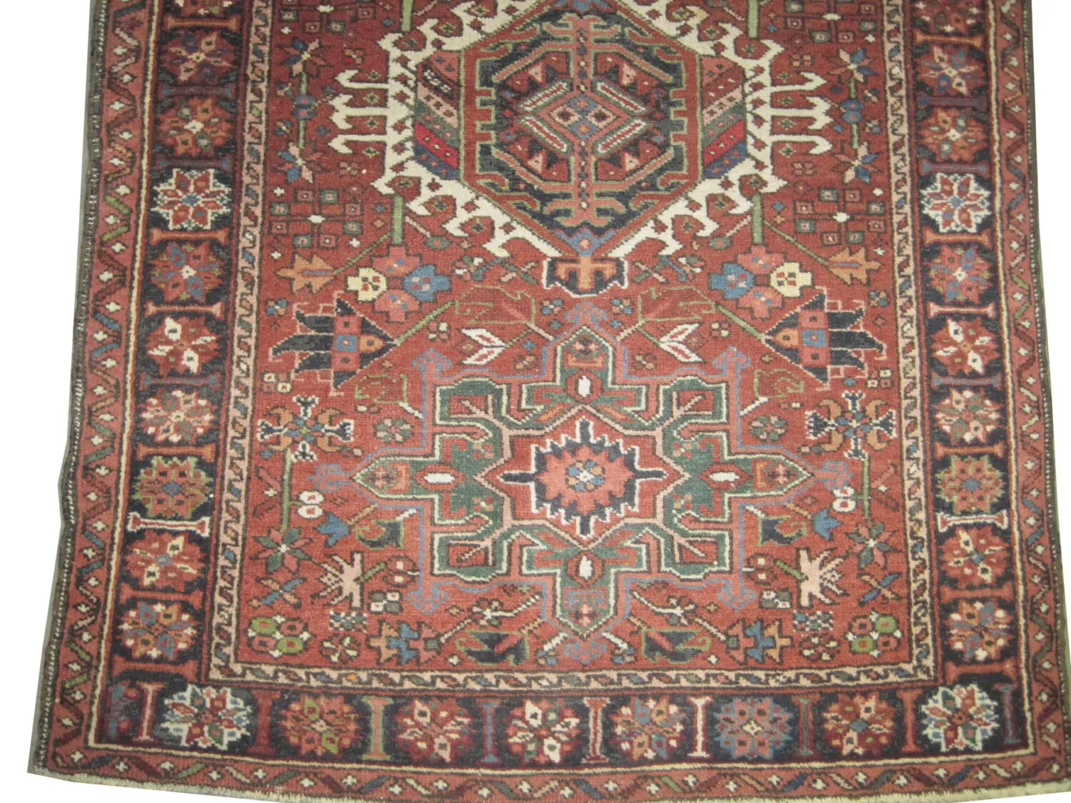 Karadja Persian - Image 3