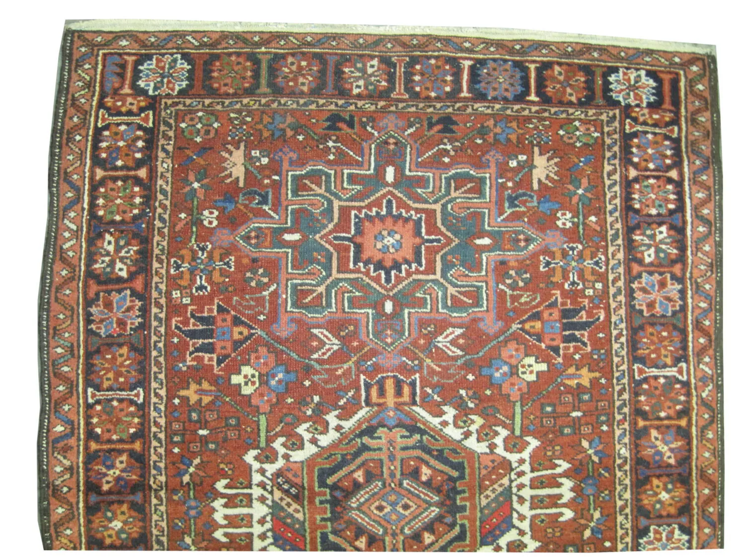 Karadja Persian - Image 2
