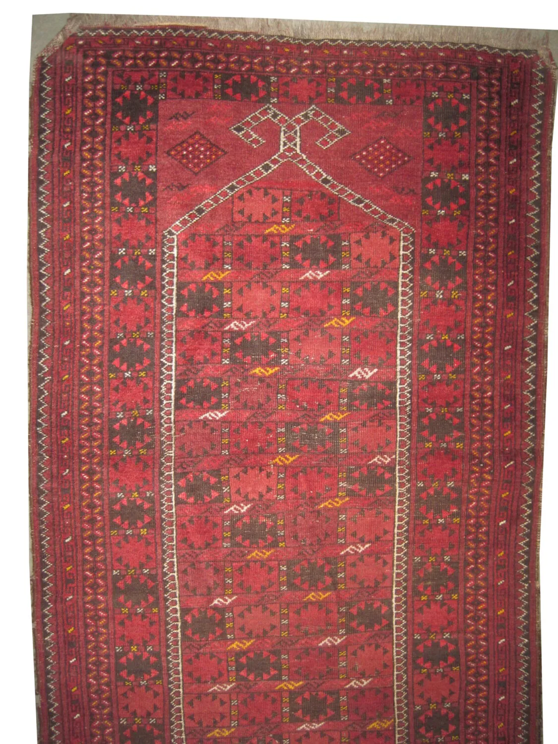 Beshir Turkmen - Image 3