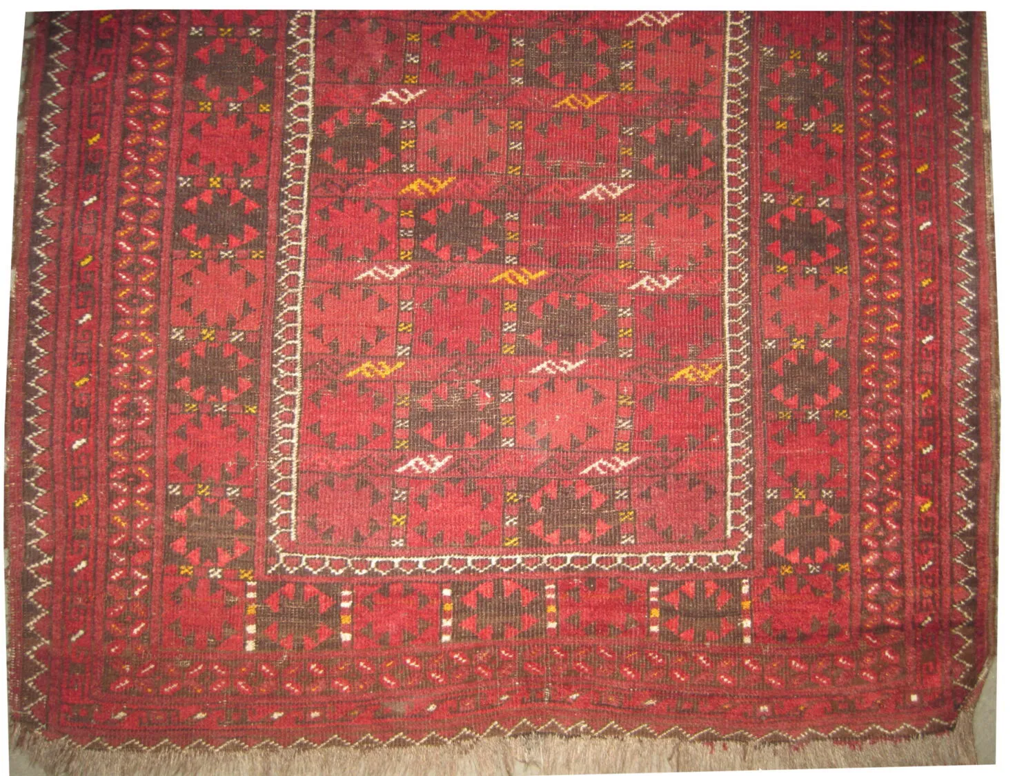 Beshir Turkmen - Image 2