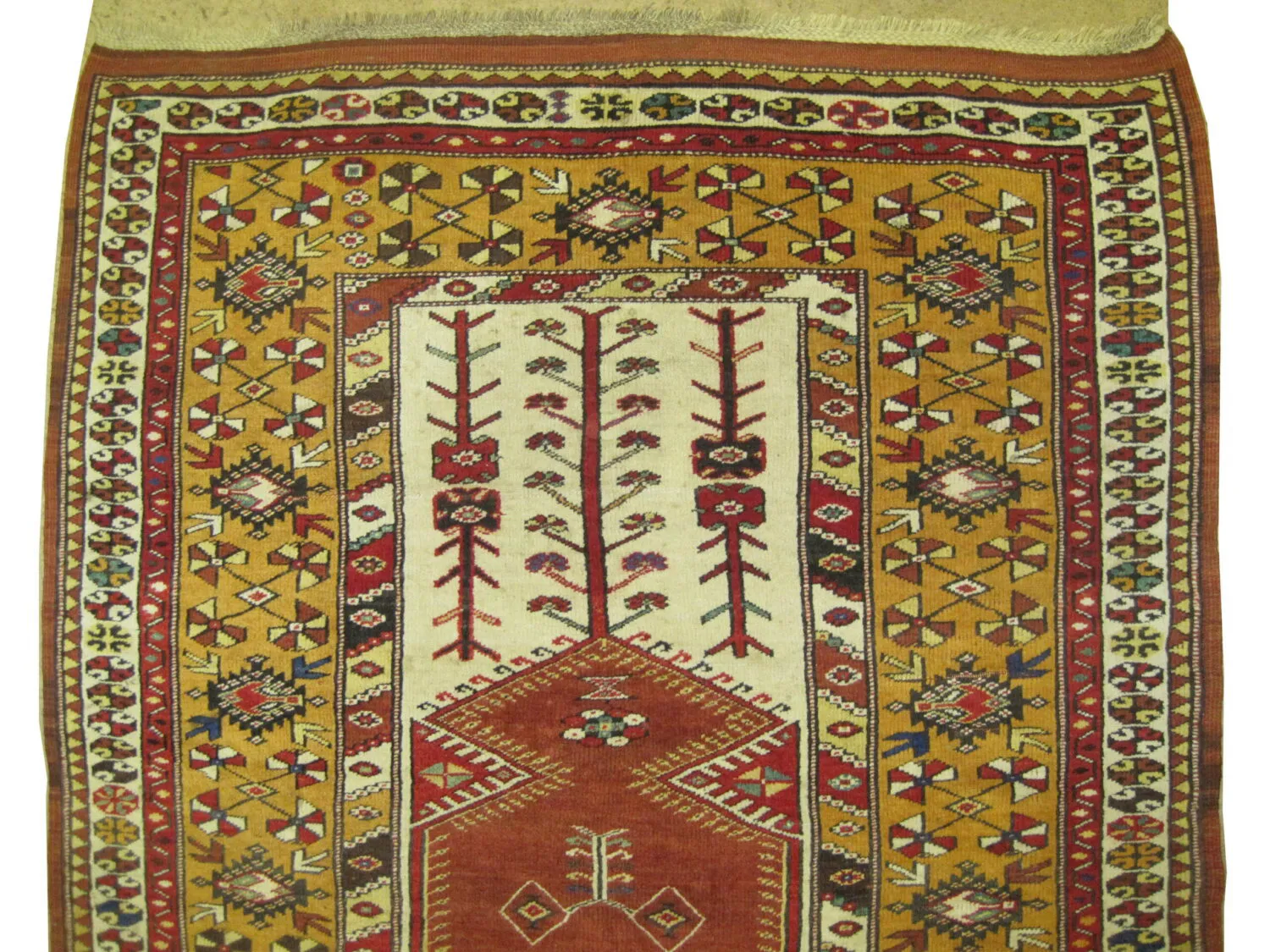 Melas Turkish - Image 2