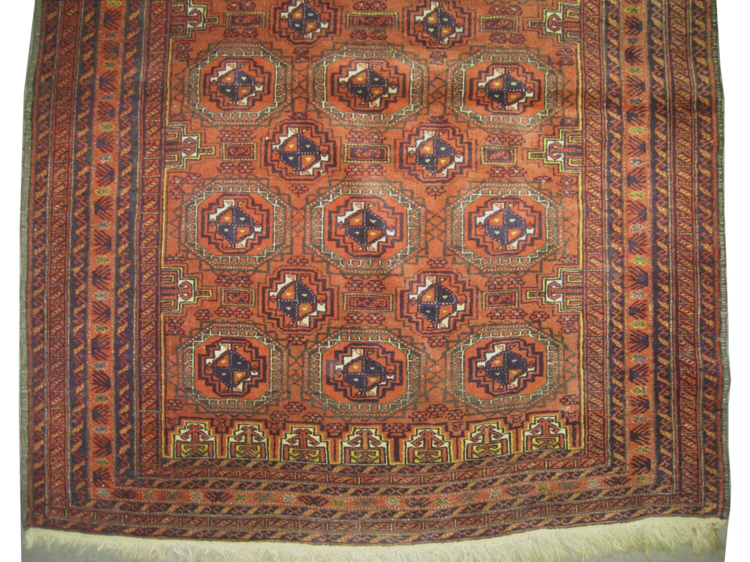 Belutsch Persian - Image 3