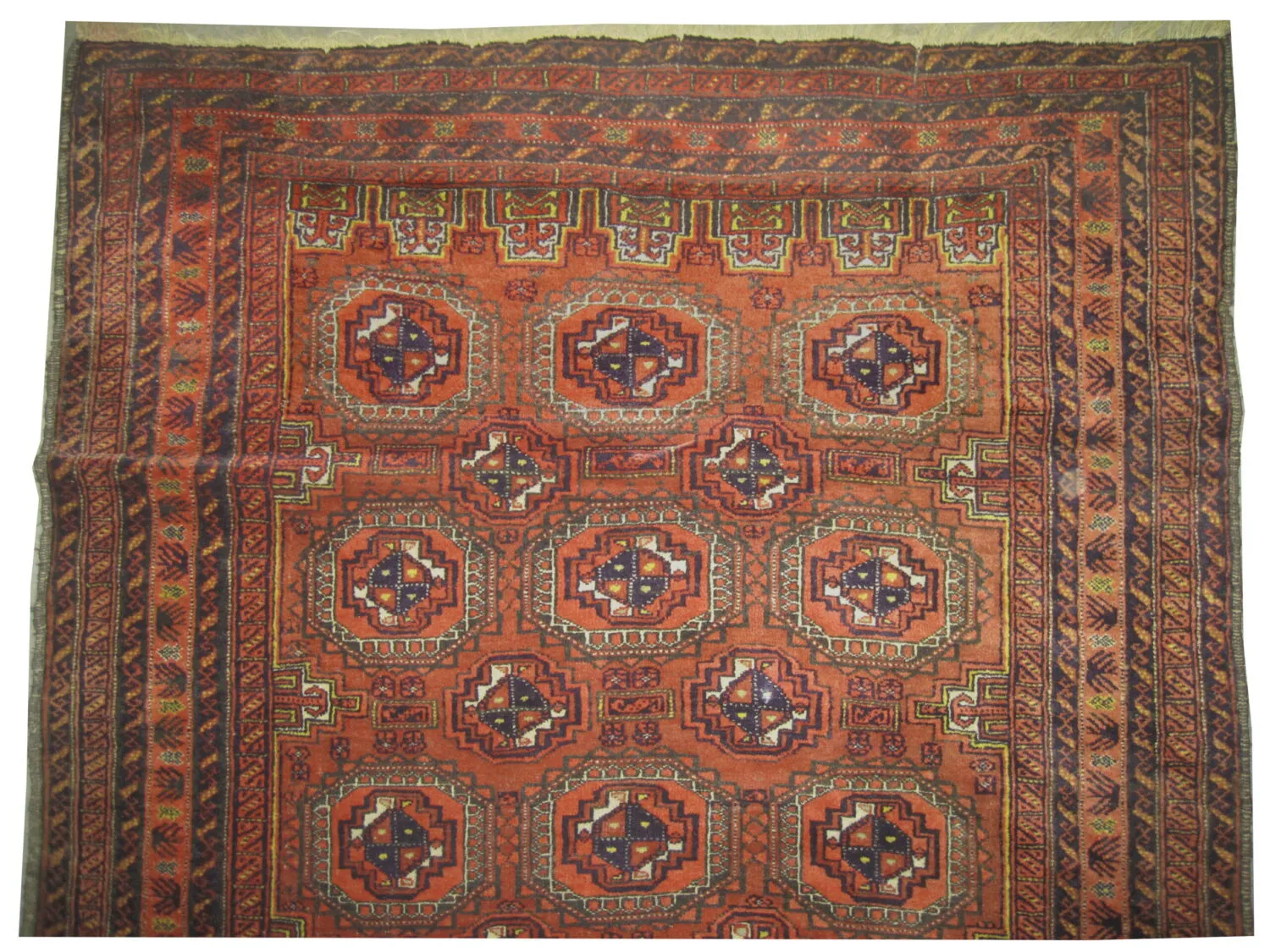 Belutsch Persian - Image 2