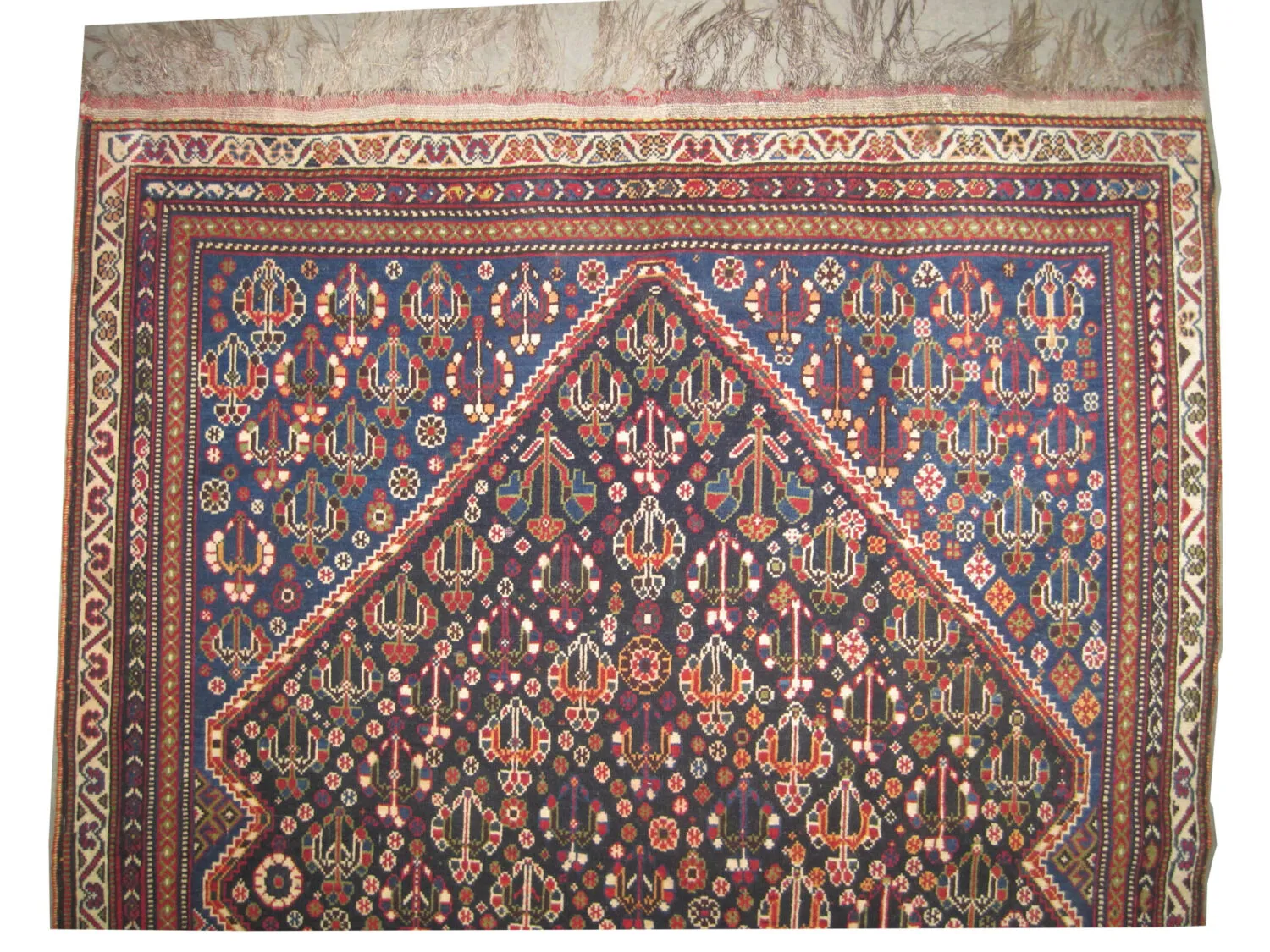 Qashqai Persian - Image 3