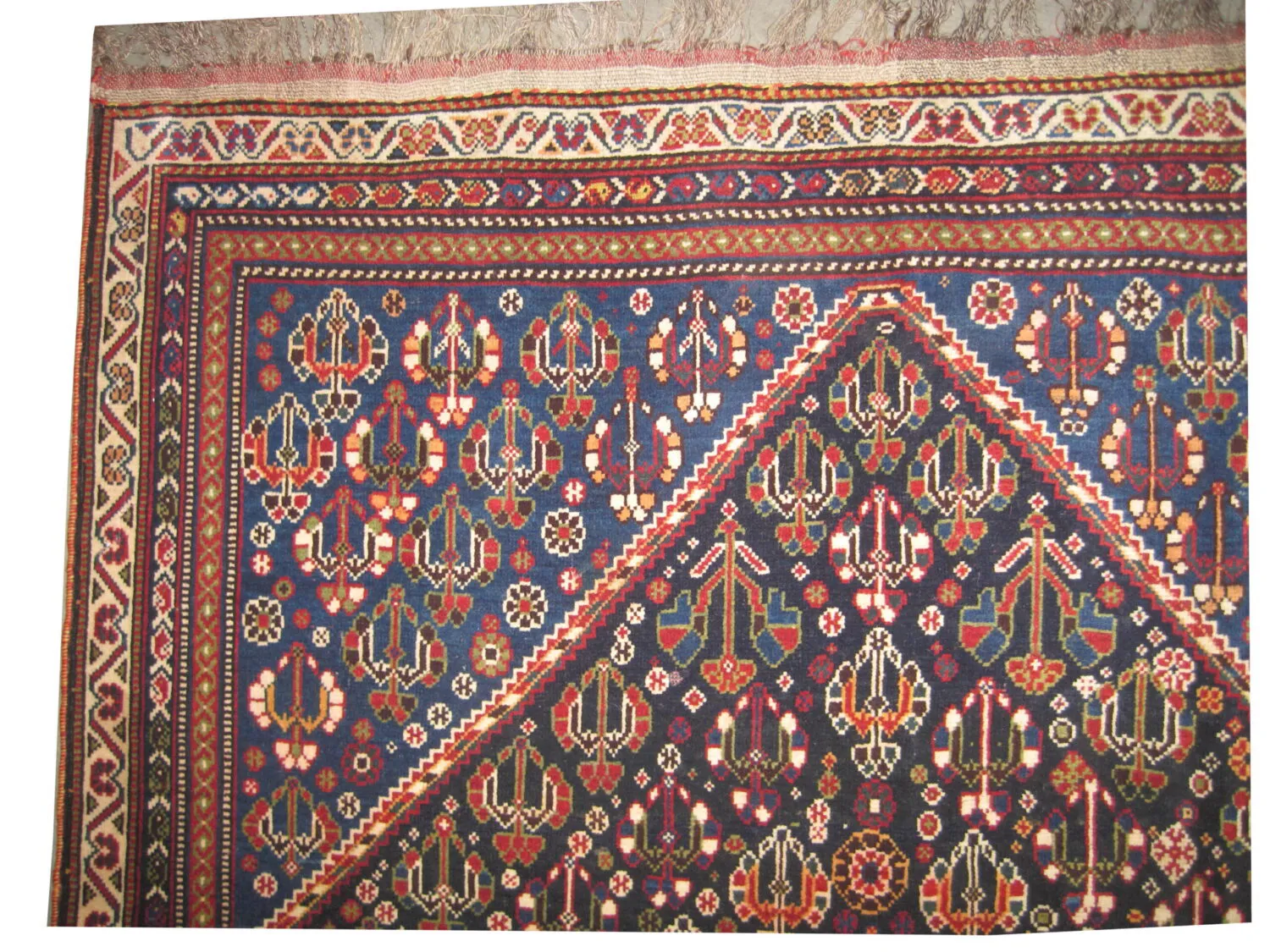 Qashqai Persian - Image 2