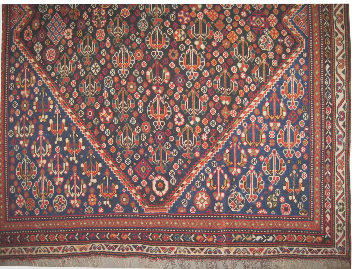 Qashqai Persian - Image 4