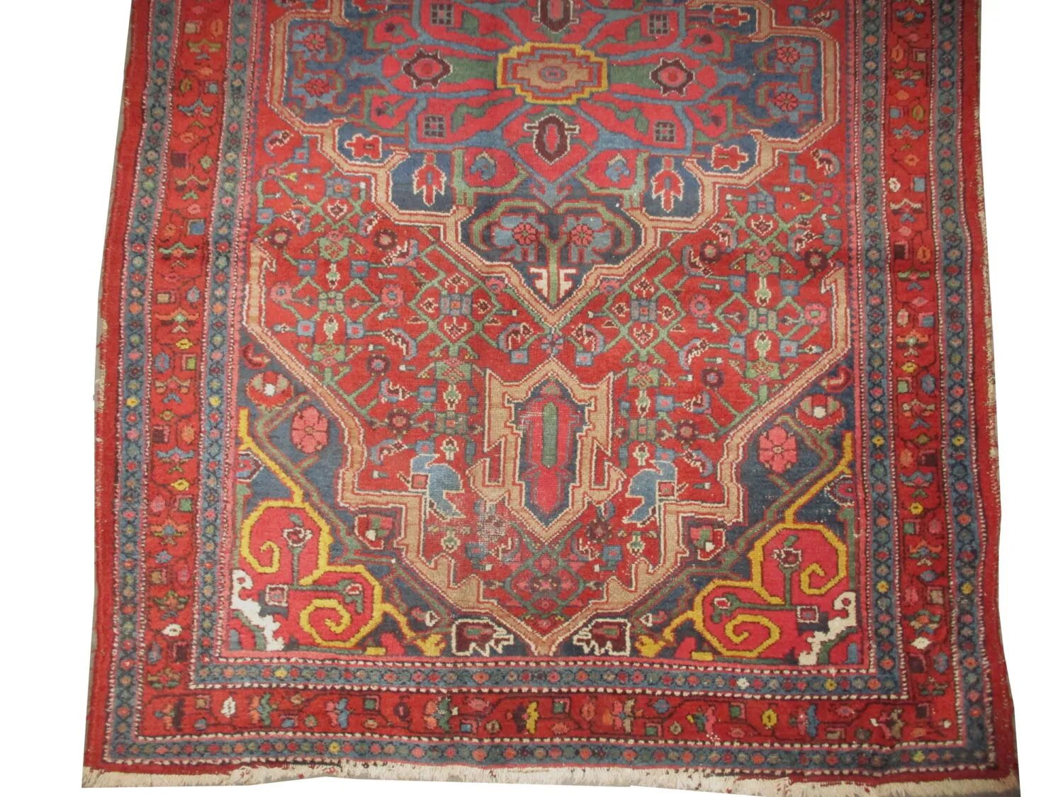Enjilaz Persian - Image 2