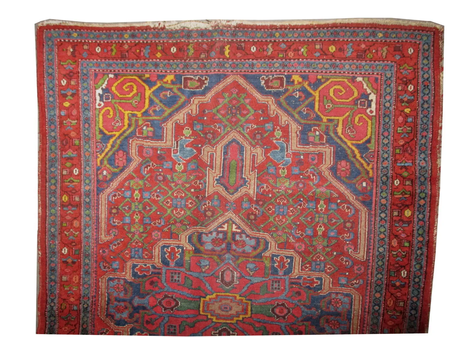 Enjilaz Persian - Image 3