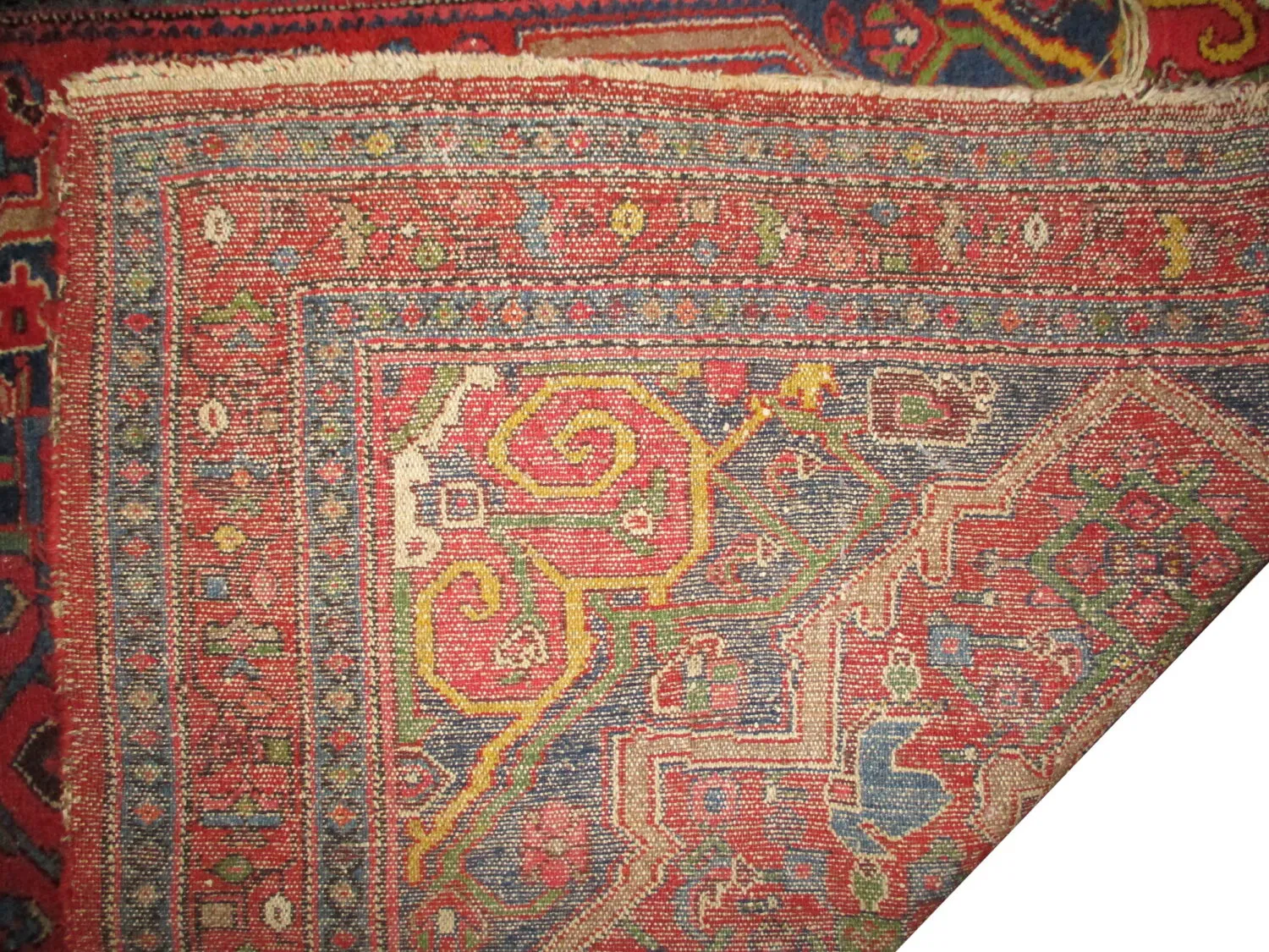 Enjilaz Persian - Image 4