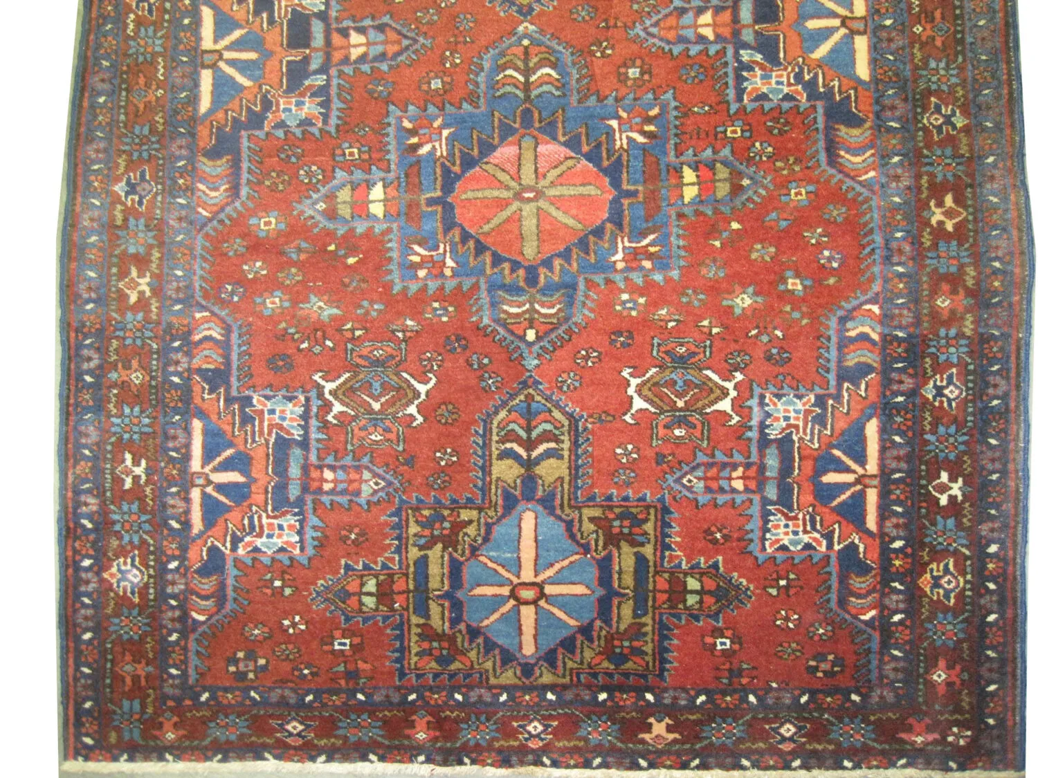 Karadja Persian - Image 3
