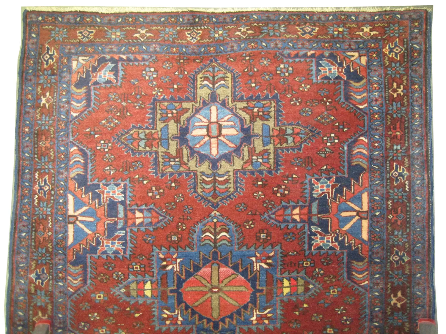 Karadja Persian - Image 2
