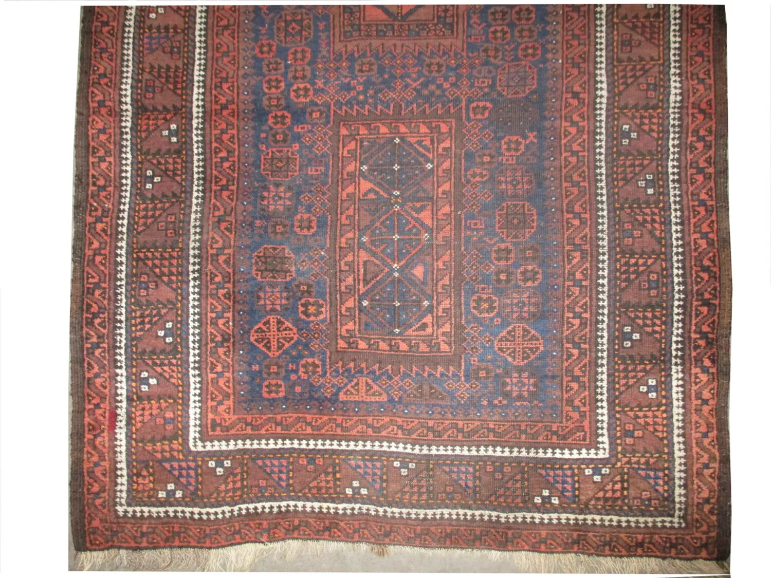 Belutsch Persian - Image 2