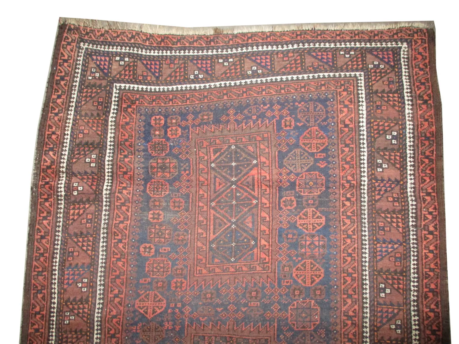 Belutsch Persian - Image 3