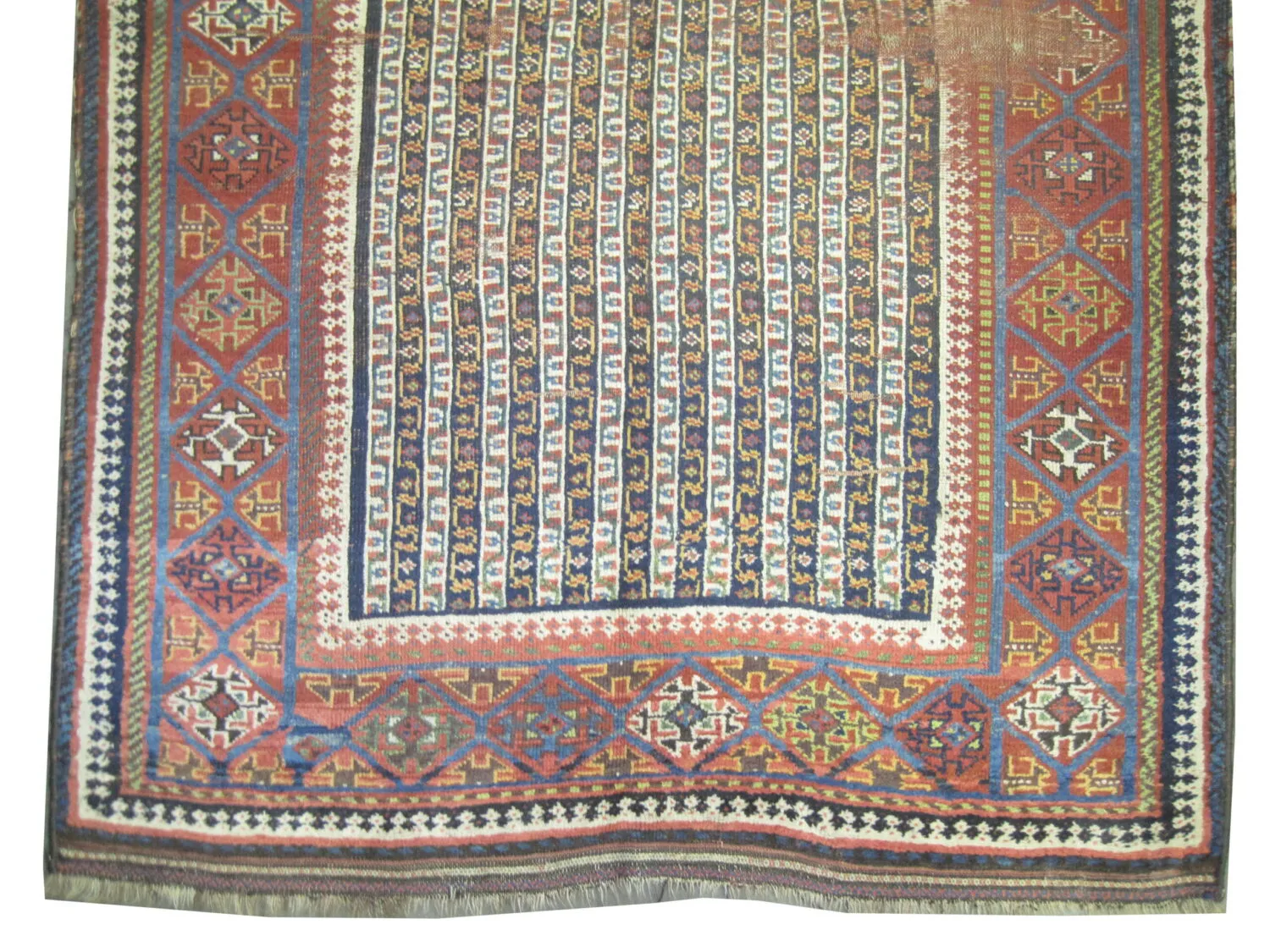Louri Kurd Persian - Image 3