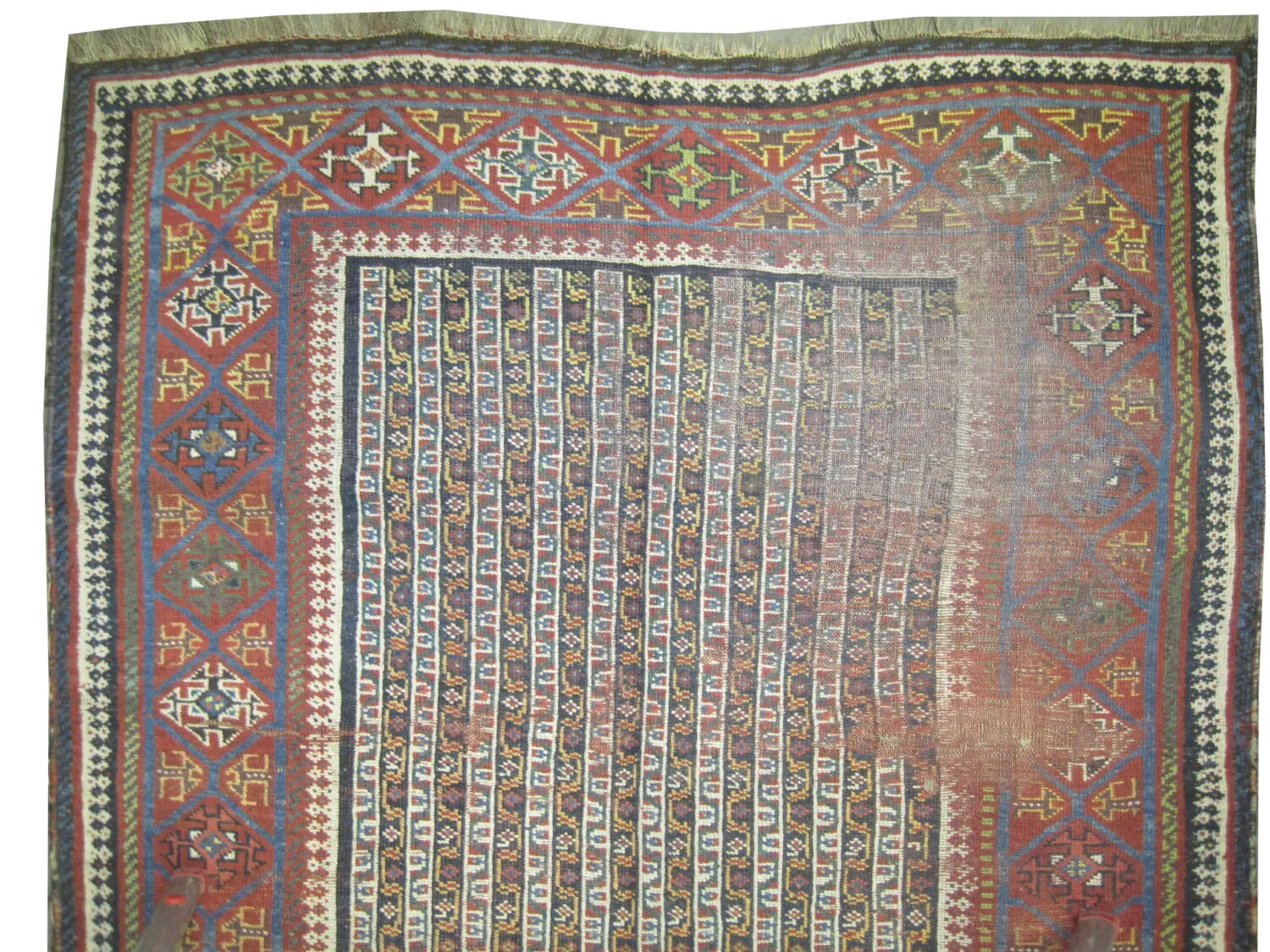Louri Kurd Persian - Image 2