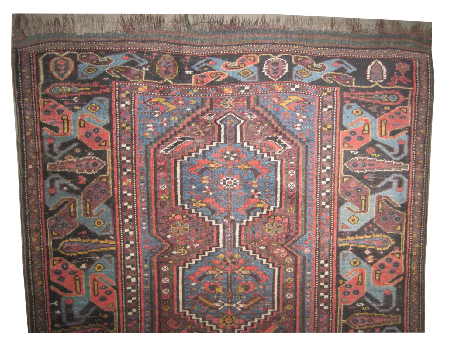 Shiraz Abbasi Persian - Image 2
