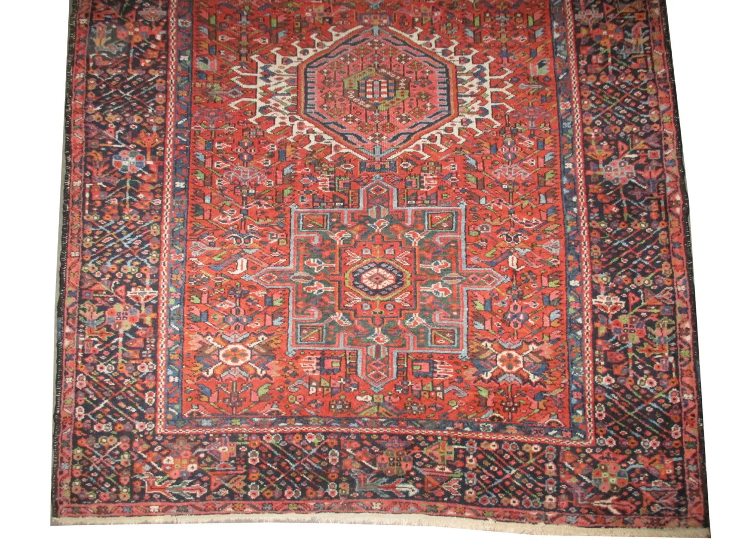 Karadja Persian - Image 2
