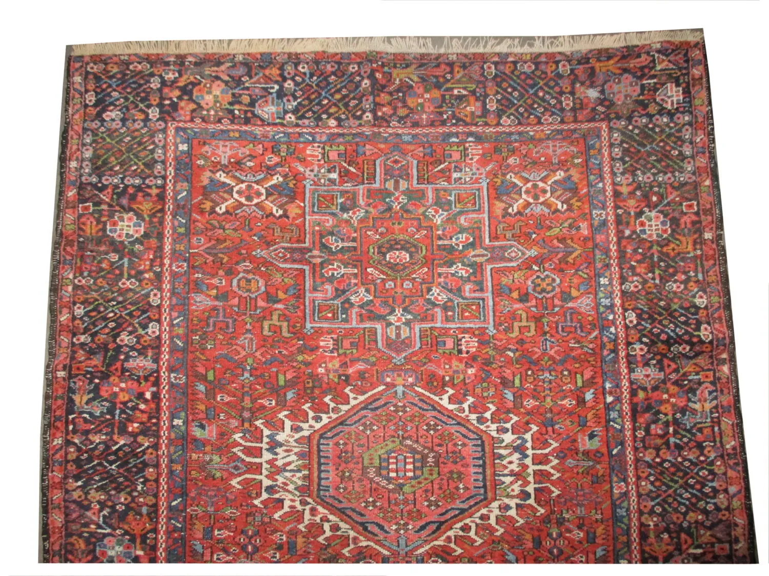 Karadja Persian - Image 3