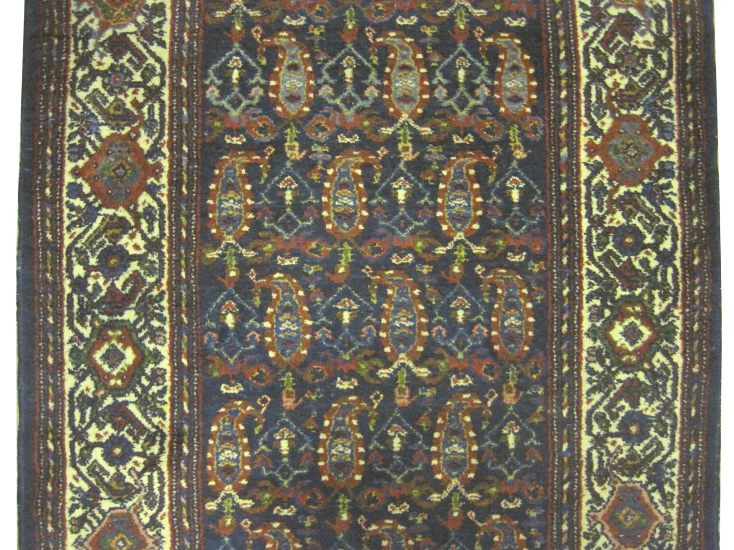 Malaier Persian - Image 2