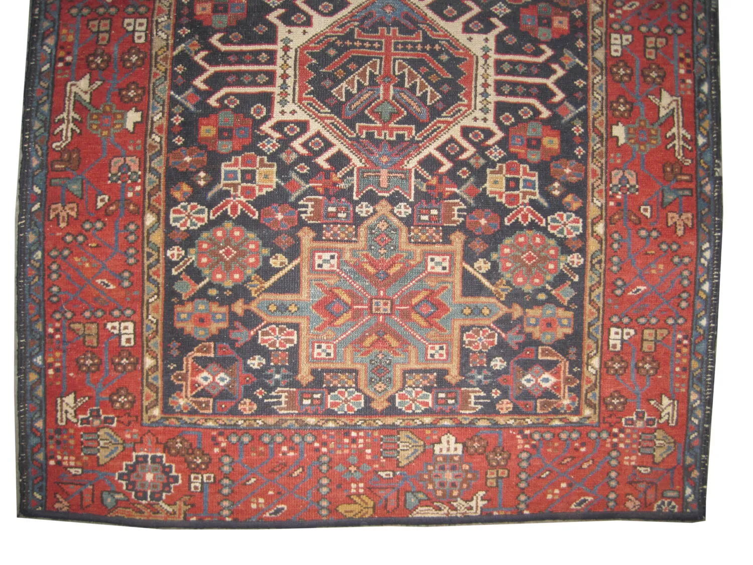 Karadja Persian - Image 2