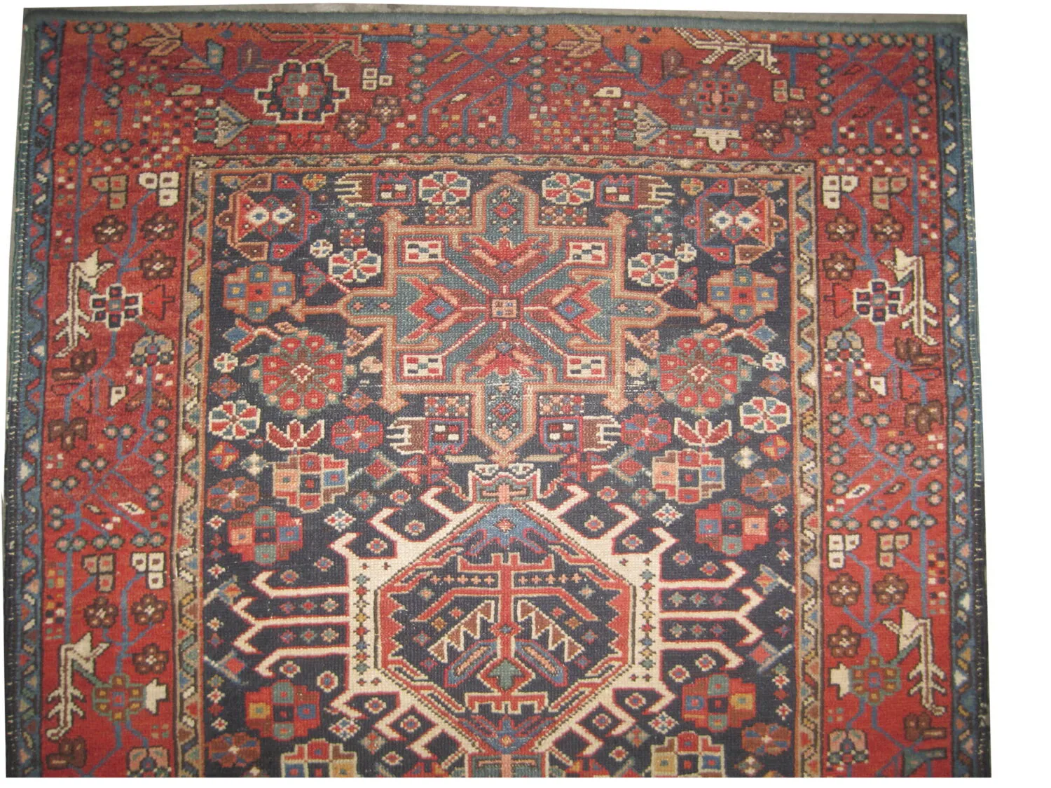 Karadja Persian - Image 3