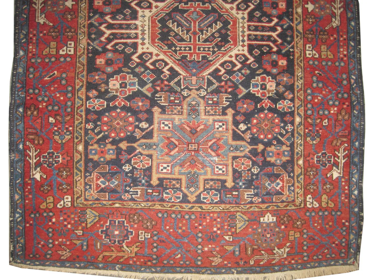 Karadja Persian - Image 2